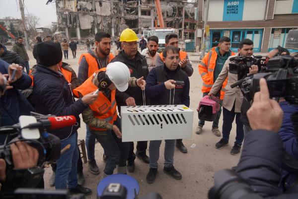 Yıkımı durdurulan Galeria Sitesi'ndeki kedilerden biri daha kurtarıldı