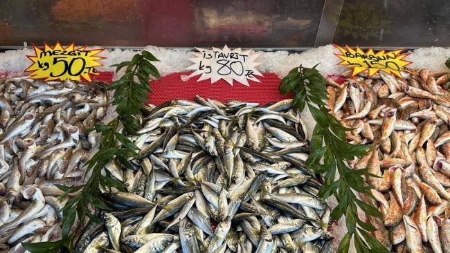 Havaların ısınması, balık fiyatlarını etkiledi
