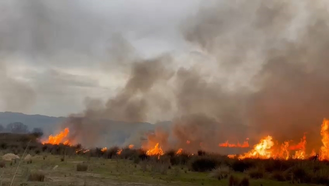 Bursa İznik'te sazlık alanda korkutan yangın