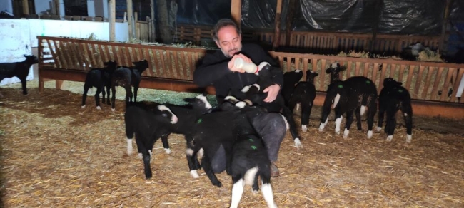 Bursa'da kuzular için sabaha kadar doğum nöbeti