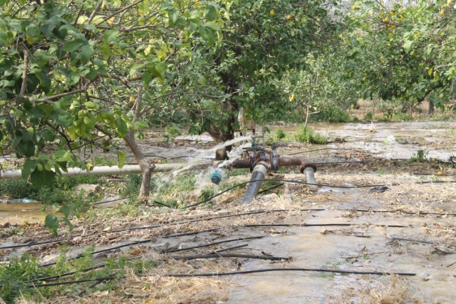 Deprem bölgesindeki bahçelere çamurlu su akıyor