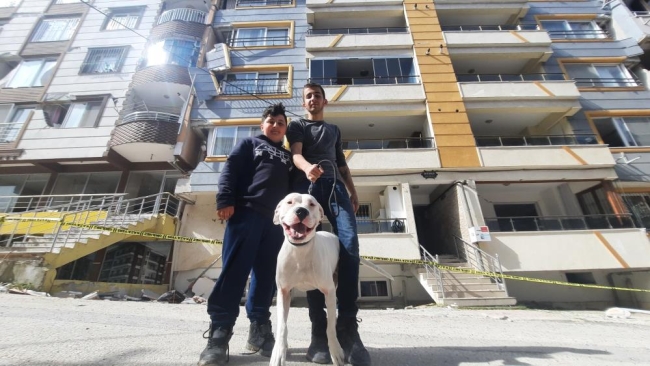 Deprem anında kendisini siper ederek sahiplerini korudu