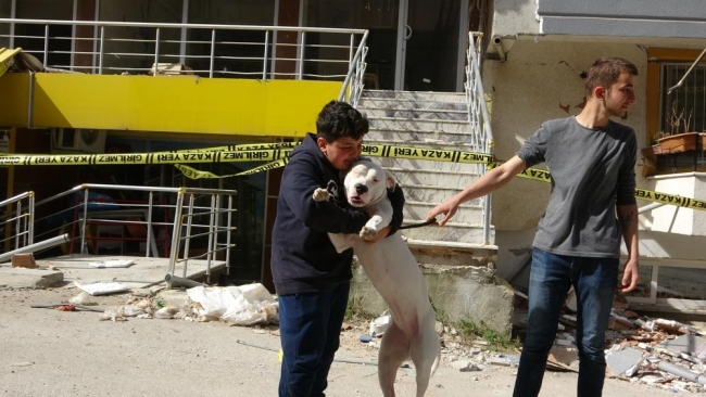 Deprem anında kendisini siper ederek sahiplerini korudu