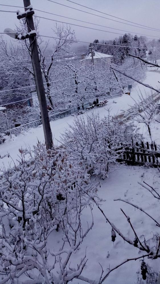 Bursa'da kar yağışı çiftçiyi sevindirdi