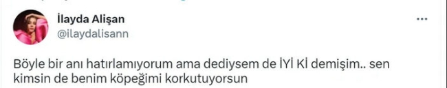 Köpeğini korkutan kişiye ruh hastası dedi: 'İyi ki demişim'