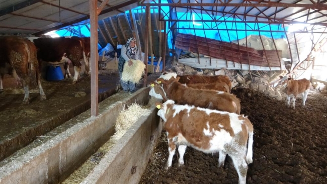 Annesinin cenazesini enkazdan elleriyle çıkardı