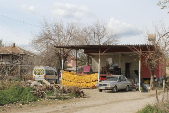 Çamaşır gibi kabuk kurutuyorlar