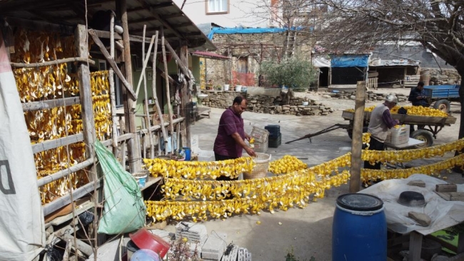 Çamaşır gibi kabuk kurutuyorlar