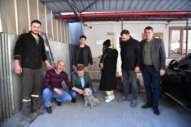 Enkaz altından kurtarılan köpek Trabzon'da yeni yuvasına kavuştu