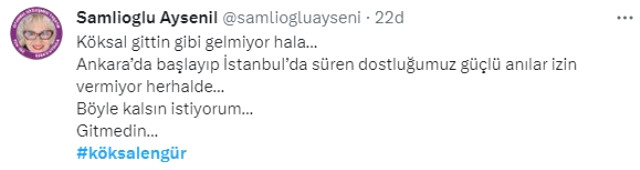 Sanat camiasını yasa boğdu
