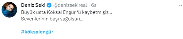 Sanat camiasını yasa boğdu