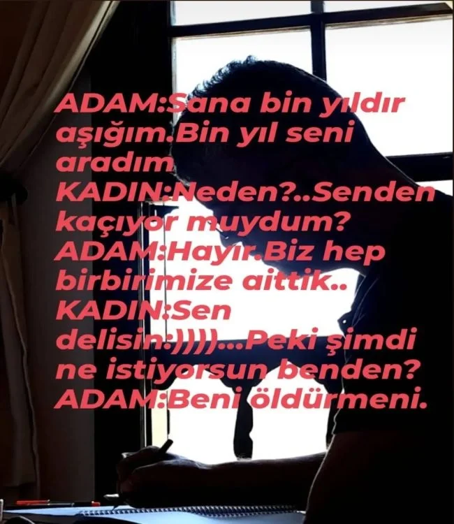 Beğenilen dizinin senaryosu çalıntı mı?