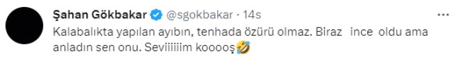 İnce: Ülkemin sanatçılarından özür diliyorum