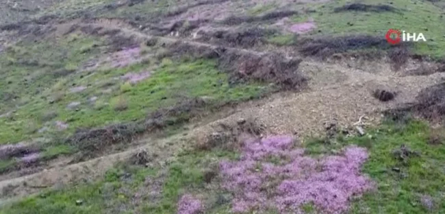 Yangından sonra ortaya çıktı! Her yerde arıyorlar