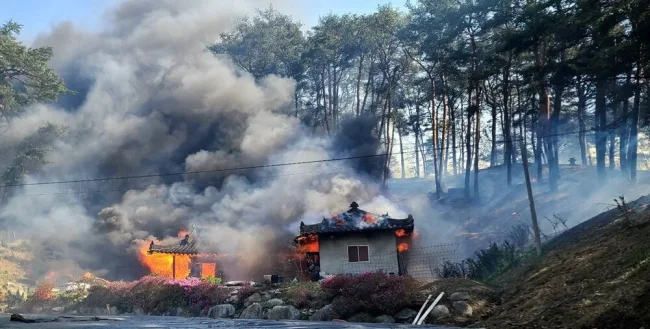 Güney Kore'de orman yangını: Yüzlerce kişiye tahliye