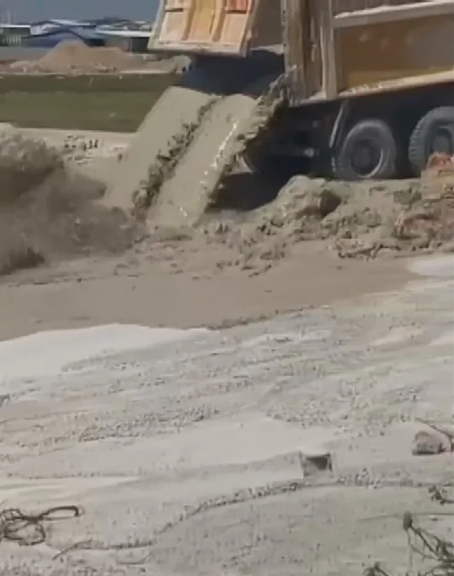 Yavru köpeklere beton atık suyu katliamı