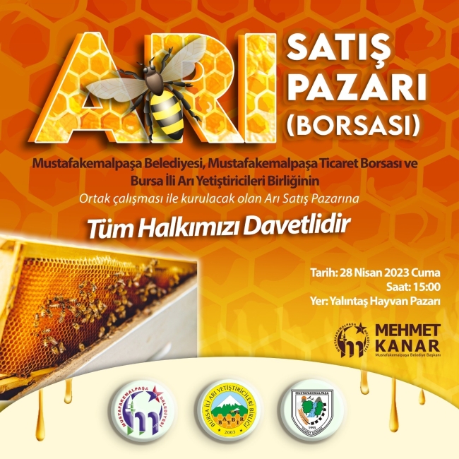 Türkiye'nin ilk arı pazarı Mustafakemalpaşa'ya kuruluyor