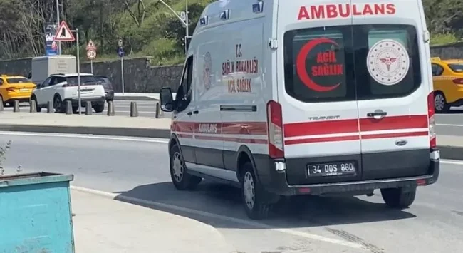 İki genç kiralık otomobilde ölü bulundu