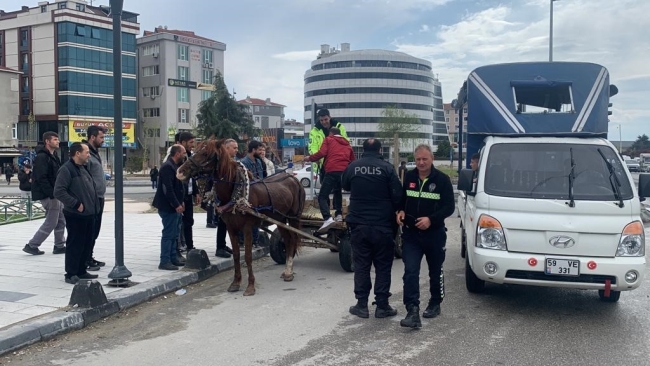 Tekirdağ’da at arabası kaos çıkardı