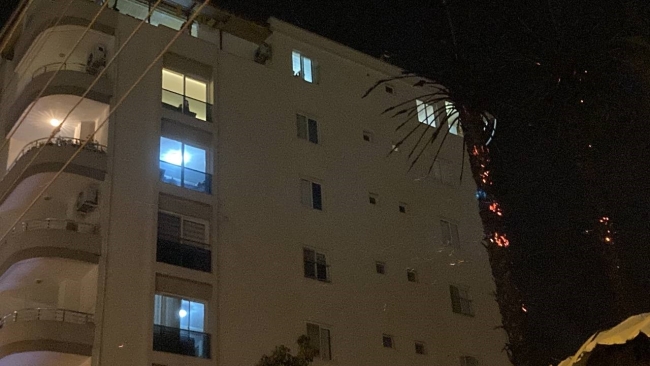 Mersin'de palmiye ağaçları alev topuna döndü!