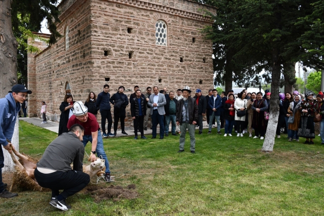 Geleneksel Kırgız Şenliği İznik'te gerçekleşti