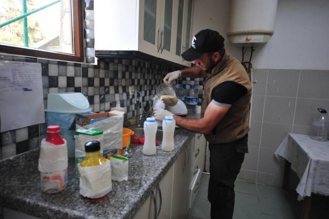 Yavru ayılar Bursa'da barınağın yeni maskotları oldu