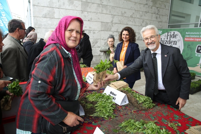 Nilüfer'de balkon tarımı fidelerle yaygınlaşıyor