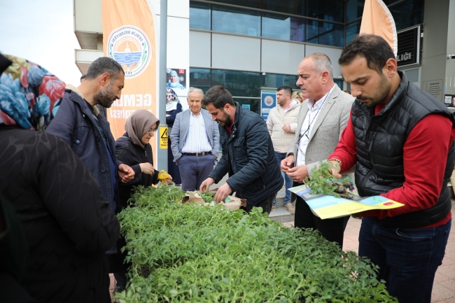 Gemlik Belediyesi'nden organik tarıma destek