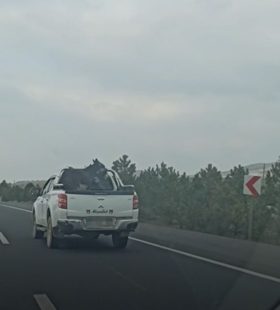 Eskişehir'de tepki çeken görüntü!