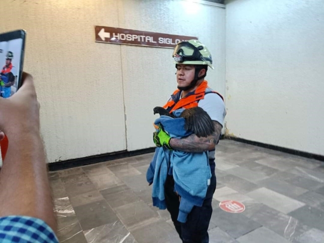Raylara giren tavuk metro seferlerini aksattı