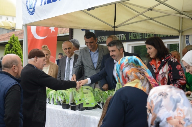 Yıldırım Belediyesi'nden 25 bin fide