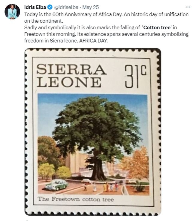 Sierra Leone’nin sembolü 200 yıllık ağaç fırtınada devrildi