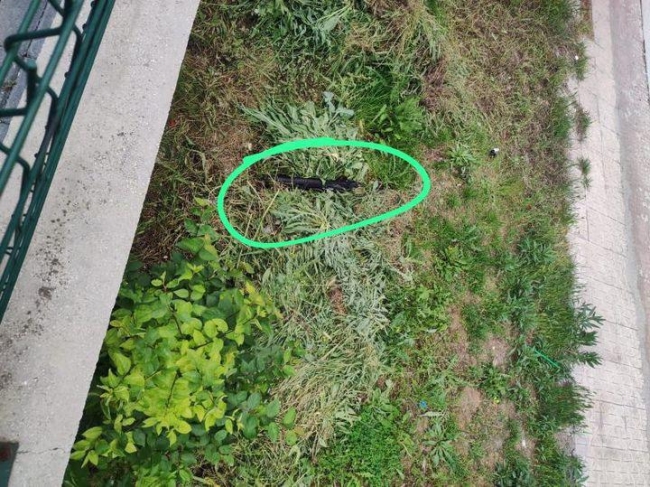 İzinli mahkum silahlı kavgada öldü!