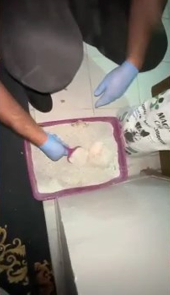 Kedi kumuna gizlenmiş uyuşturucu haplar ele geçirildi