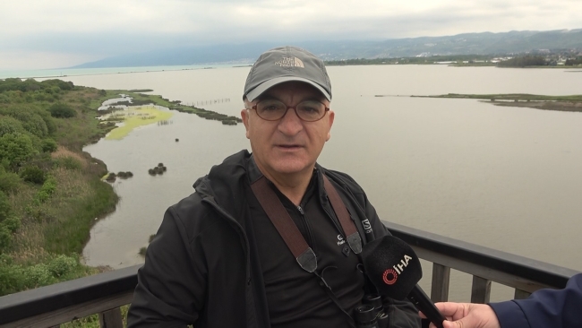 Hersek Lagünü'nde üreyen kuş türü sayısı yükseliyor