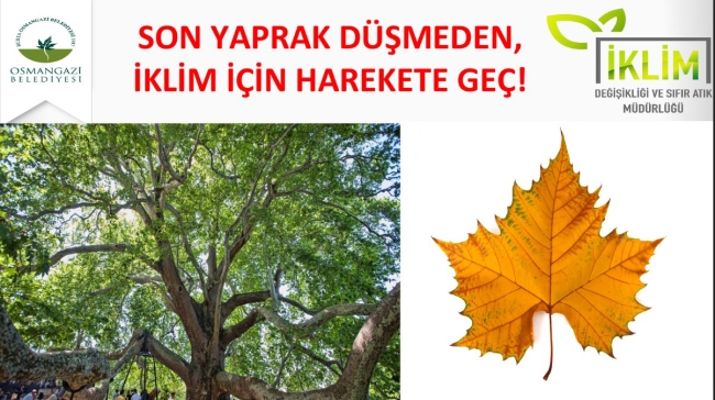 Osmangazi iklim değişikliği ile mücadelede yol haritasını belirledi
