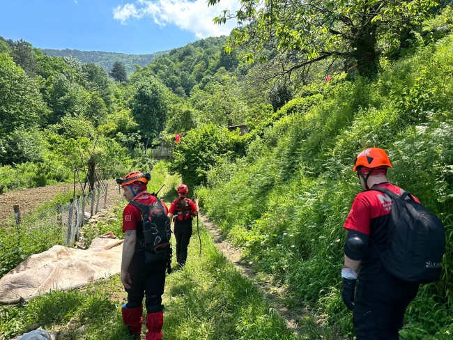 Bursa'da şifalı ot toplamak isterken gözden kayboldu