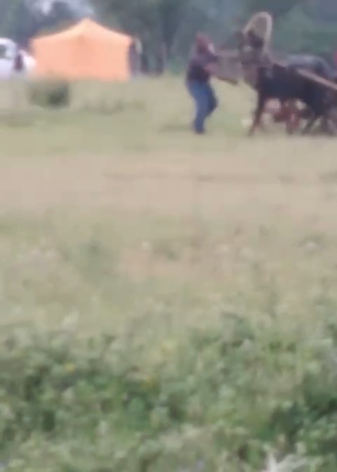Bursa’da ata yapılan işkence yürekleri sızlattı!