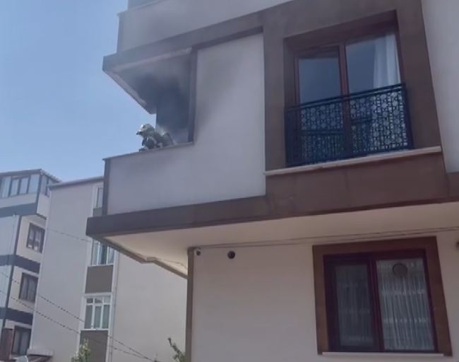 Söndürülmeyen sigara izmariti yangına sebep oldu