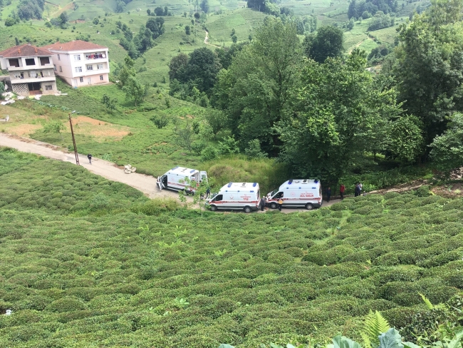 Rize'de otomobil çay bahçesine yuvarlandı: 2 yaralı