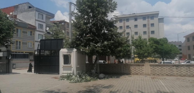 Bursa'da yaşlı adam ıhlamur toplarken düştü