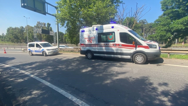Çayırova'da ağaçlık alanda ceset bulundu!