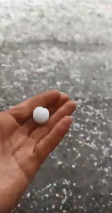Kars'ta tarım arazileri zarar gördü
