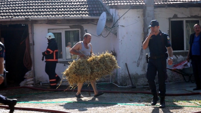 Sakarya’da besi çiftliğinde yangın