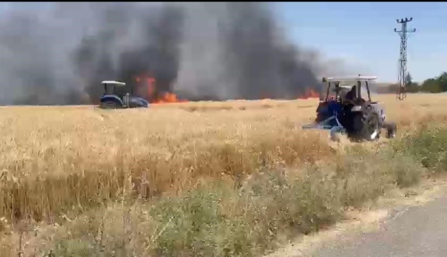 Buğday ekili arazi küle döndü