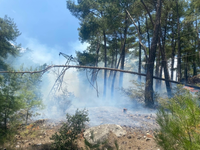Antalya’da orman yangını