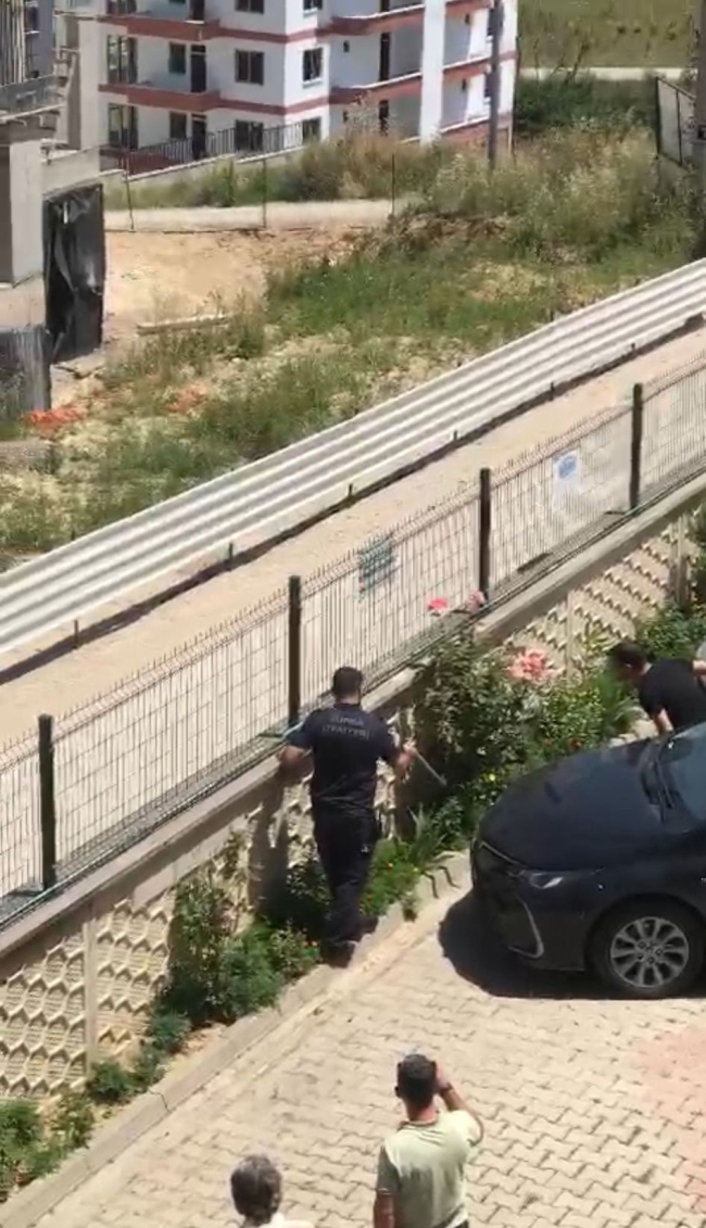 Bahçeye sızan yılanın heyecan verici serüveni