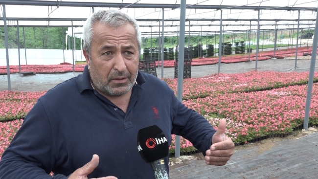 900 rakımda üretilen süs bitkileri daha uzun ömürlü oluyor