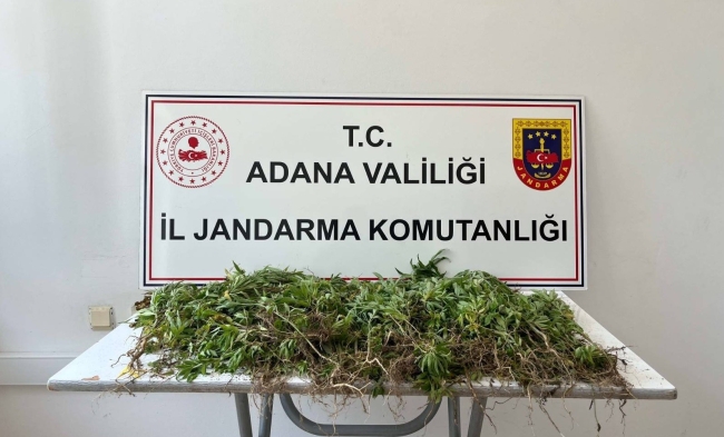 Adana'da rekor uyuşturucu ele geçirildi