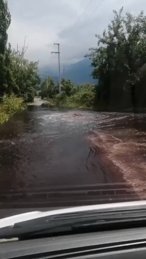 Bursa'da zehirli atıklar armut bahçelerine aktı